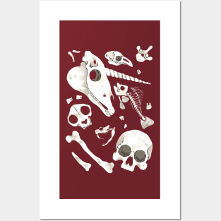 burgundy Skulls and Bones - Wunderkammer Posters and Art